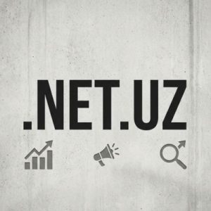 SEO and Marketing Advantages of .NET.UZ Domains
