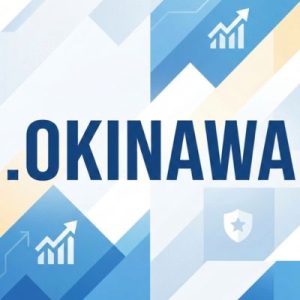 SEO and Marketing Advantages of .OKINAWA Domains