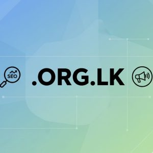 SEO and Marketing Advantages of .ORG.LK Domains