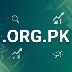 SEO and Marketing Advantages of .ORG.PK Domains