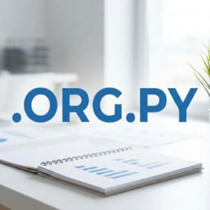 SEO and Marketing Advantages of .ORG.PY Domains