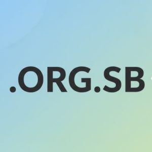 SEO and Marketing Advantages of .ORG.SB Domains