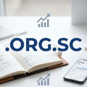 SEO and Marketing Advantages of .ORG.SC Domains