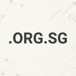 SEO and Marketing Advantages of .ORG.SG Domains