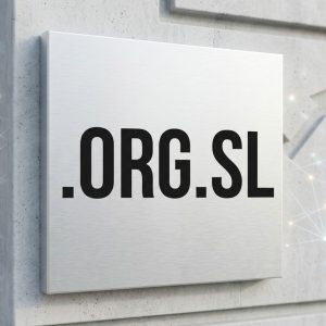 SEO and Marketing Advantages of .ORG.SL Domains