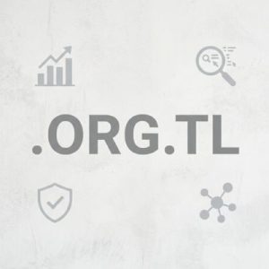 SEO and Marketing Advantages of .ORG.TL Domains