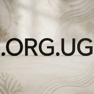 SEO and Marketing Advantages of .ORG.UG Domains