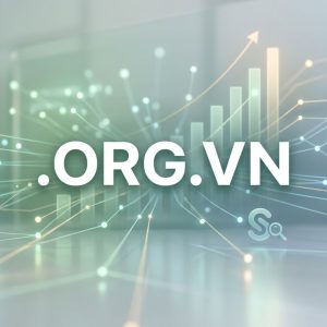 SEO and Marketing Advantages of .ORG.VN Domains
