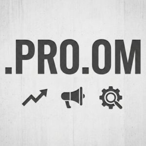 SEO and Marketing Advantages of .PRO.OM Domains