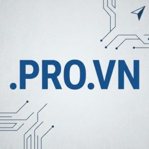 SEO and Marketing Advantages of .PRO.VN Domains