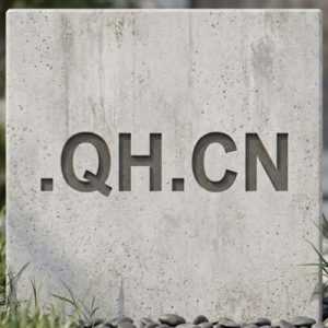 SEO and Marketing Advantages of .QH.CN Domains