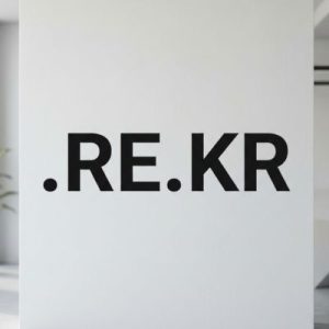SEO and Marketing Advantages of .RE.KR Domains