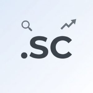 SEO and Marketing Advantages of .SC Domains