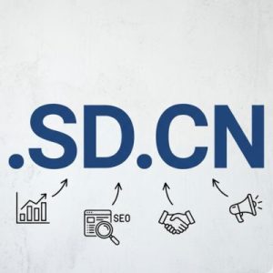 SEO and Marketing Advantages of .SD.CN Domains
