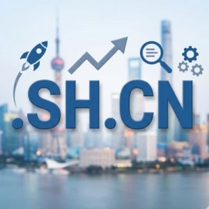 SEO and Marketing Advantages of .SH.CN Domains