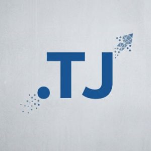 SEO and Marketing Advantages of .TJ Domains