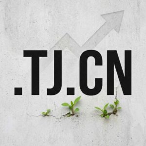 SEO and Marketing Advantages of .TJ.CN Domains