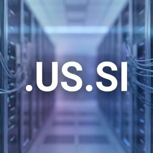 SEO and Marketing Advantages of .US.SI Domains