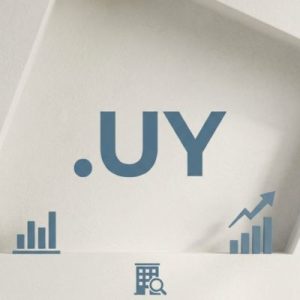 SEO and Marketing Advantages of .UY Domains