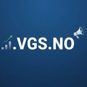 SEO and Marketing Advantages of .VGS.NO Domains