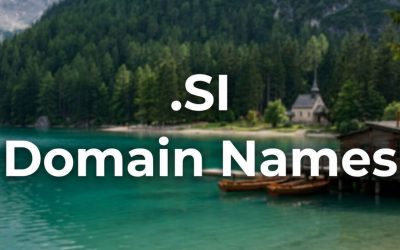 .SI Domain Names