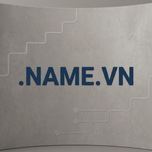Step-by-Step Process to Register a .NAME.VN Domain