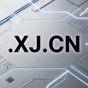 Step-by-Step Process to Register a .XJ.CN Domain