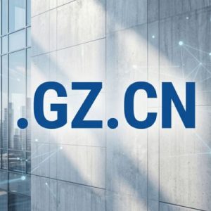 Strategic Tips for Choosing the Right .GZ.CN Domain Name