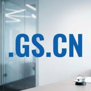 Strong Brand Recognition and Recall of the .GS.CN Domain