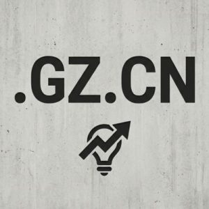 Strong Brand Recognition and Recall of the .GZ.CN Domain