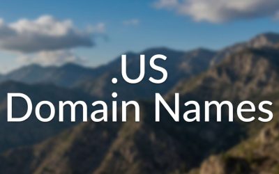 .US Domain Names