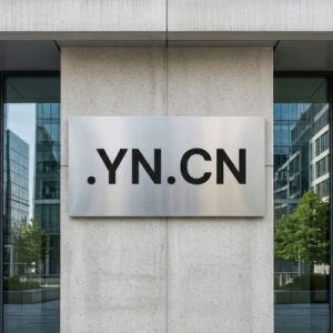 Universal Acceptance Across Industries and Markets for .YN.CN Domains