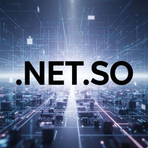 Universal Acceptance Across Industries and Markets of .NET.SO Domain