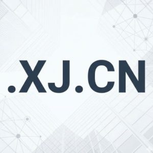 Universal Acceptance Across Industries and Markets of .XJ.CN domain