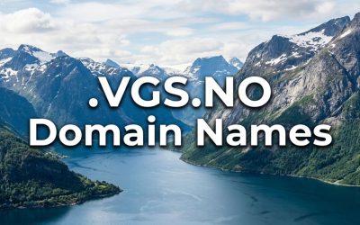 .VGS.NO Domain Names