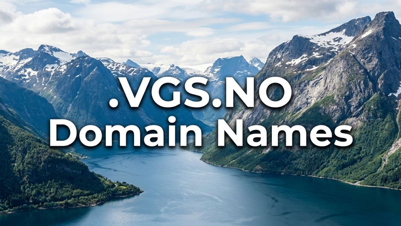 .VGS.NO Domain Names