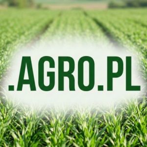 What is a .AGRO.PL Domain?