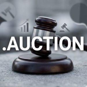 What is a .AUCTION Domain