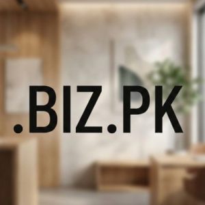 What is a .BIZ.PK Domain?
