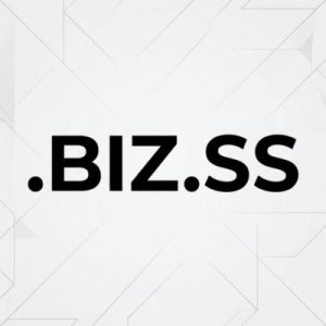 What is a .BIZ.SS Domain?