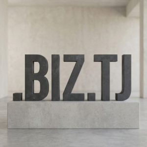 What is a .BIZ.TJ Domain?