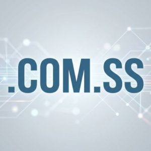 What is a .COM.SS Domain?