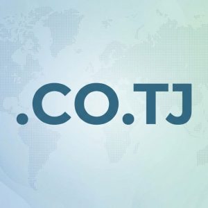 What is a .CO.TJ Domain