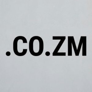 What is a .CO.ZM Domain