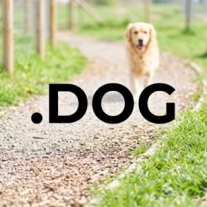 What is a .DOG Domain?