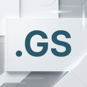 What is a .GS Domain?