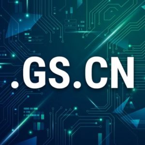 What is a .GS.CN Domain