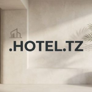 What is a .HOTEL.TZ Domain?