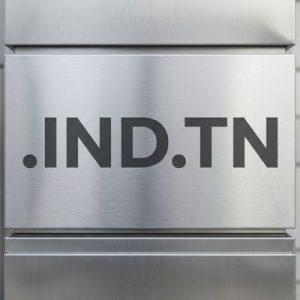 What is a .IND.TN Domain?