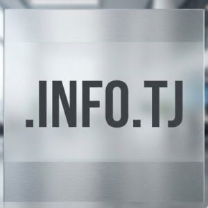 What is a .INFO.TJ Domain?